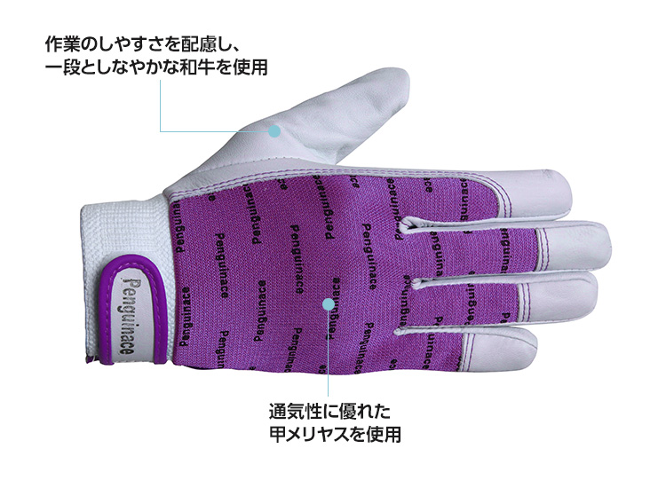 ペンギンエースエレカー（パープル）TH-543