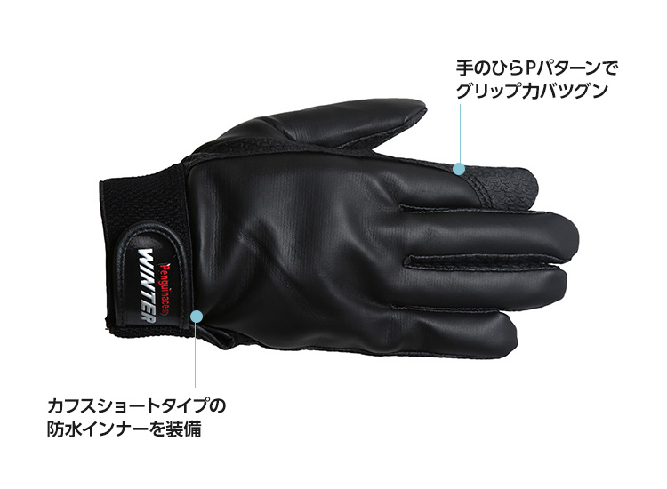 PパターンWINTER W-3